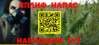 трава Кингисепп