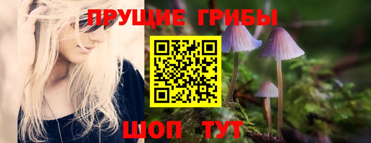Костомукша  Галлюциногенные грибы прущие грибы  Вход с VPN 